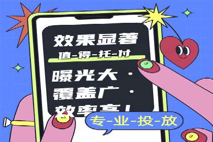 网络推广与竞价策略实战案例